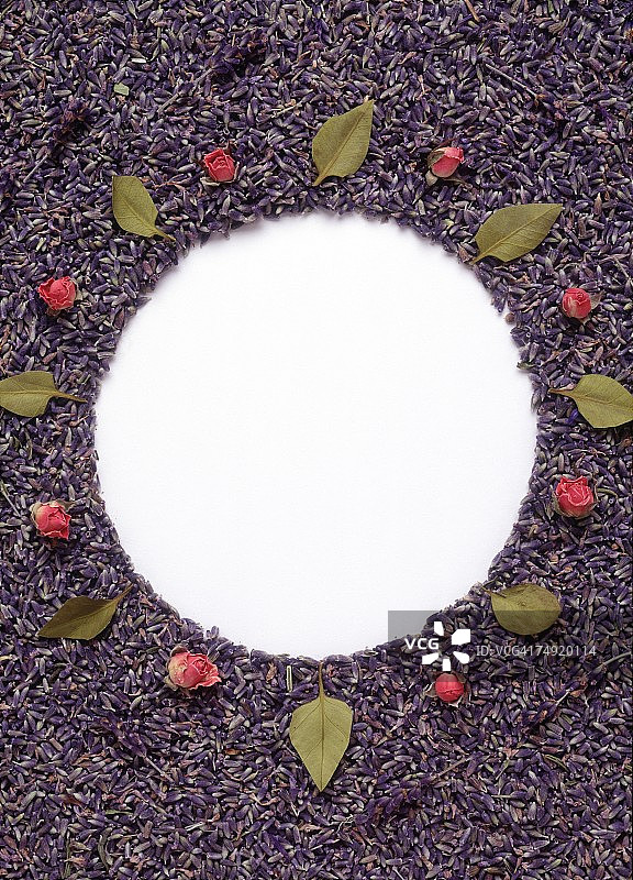 由花蕾和鲜花组成的圆形框架图片素材