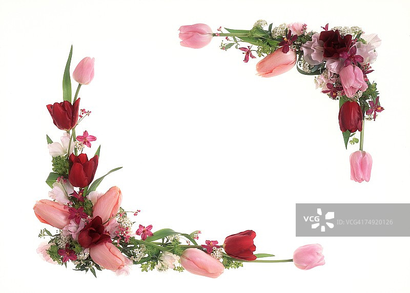 精美彩色花卉图片素材