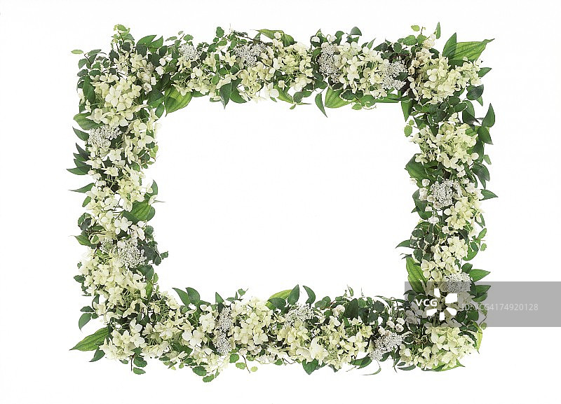 花叶相框图片素材