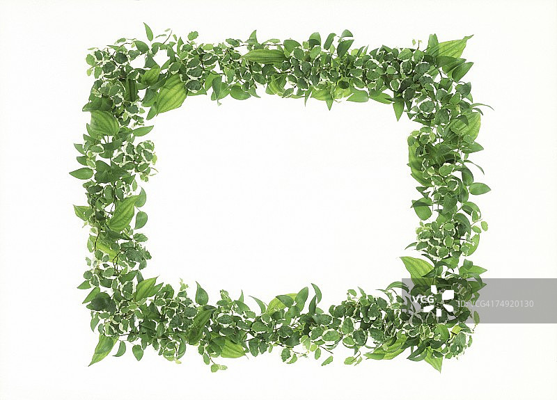 树叶边框图片素材