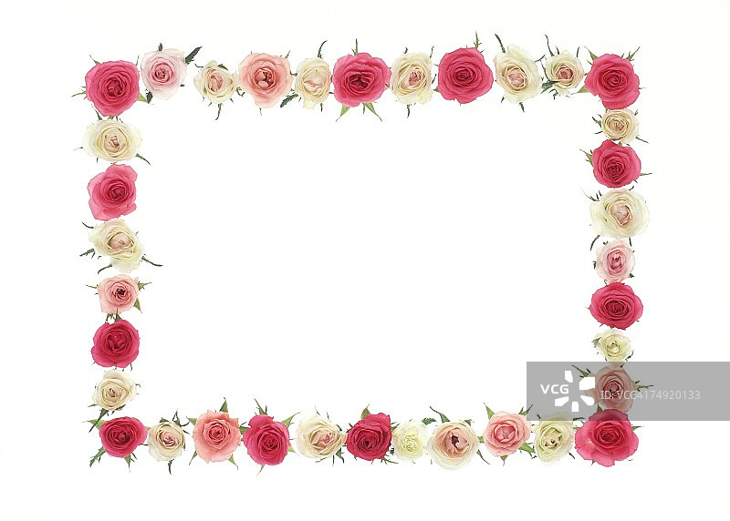 五彩玫瑰相框图片素材