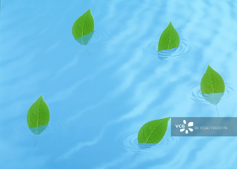 漂浮在水面上的树叶（数字合成）图片素材