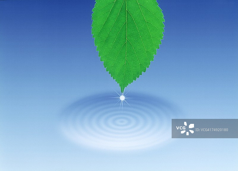 带有闪光尖端的叶子特写（数码合成）图片素材
