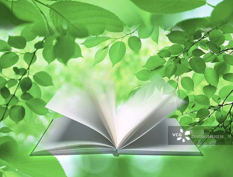 微风吹动书页（数码合成）图片素材
