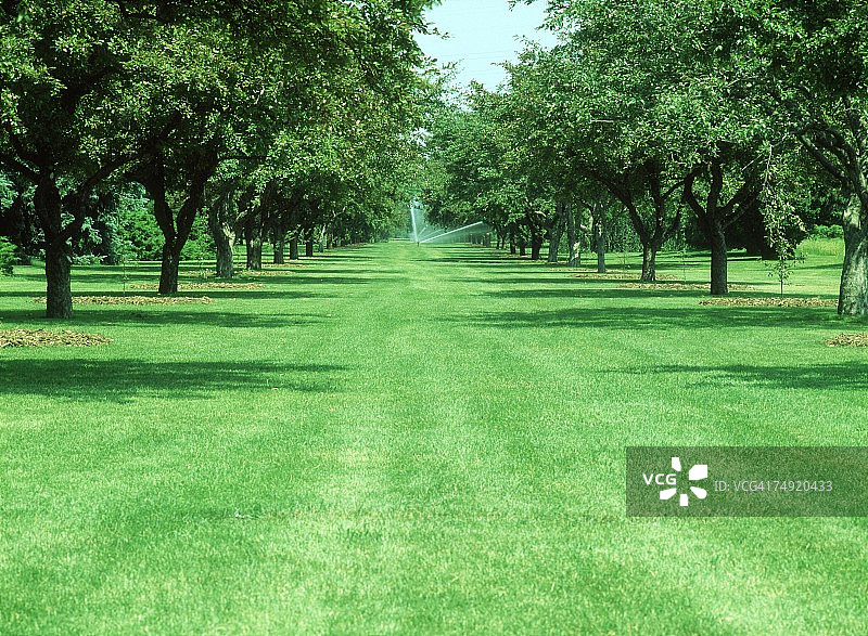 公园里的洒水器图片素材