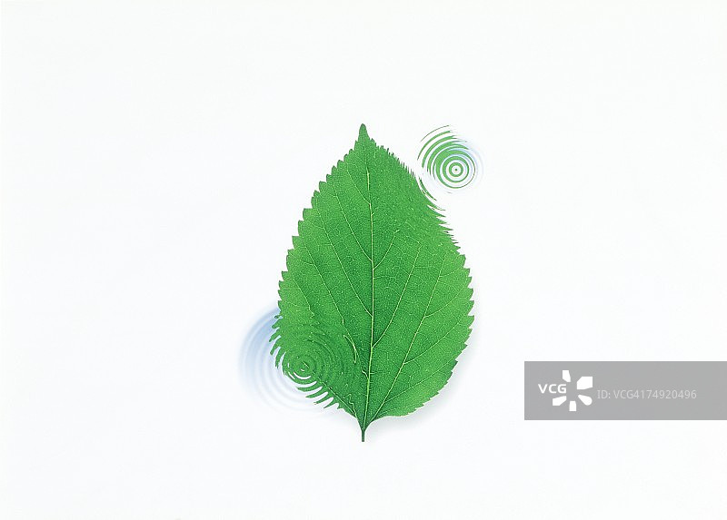 水中树叶倒影（数字合成）图片素材