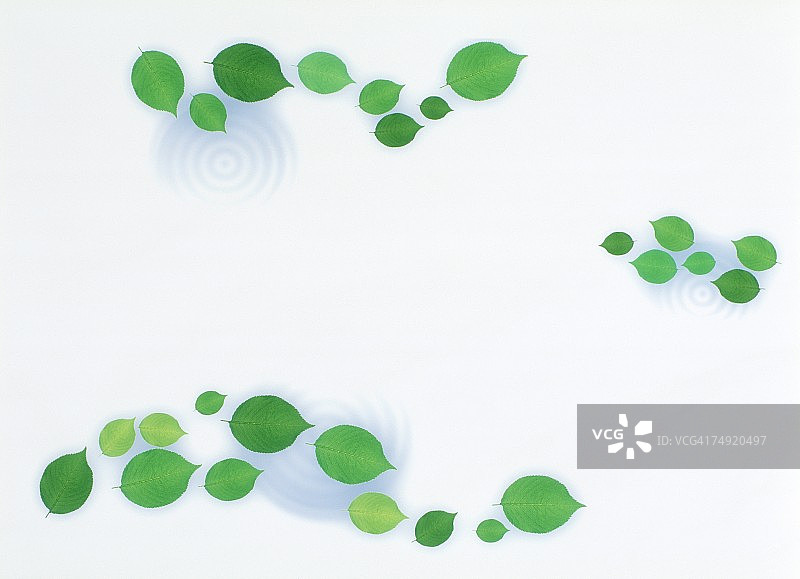 水波上的树叶（数字合成）图片素材