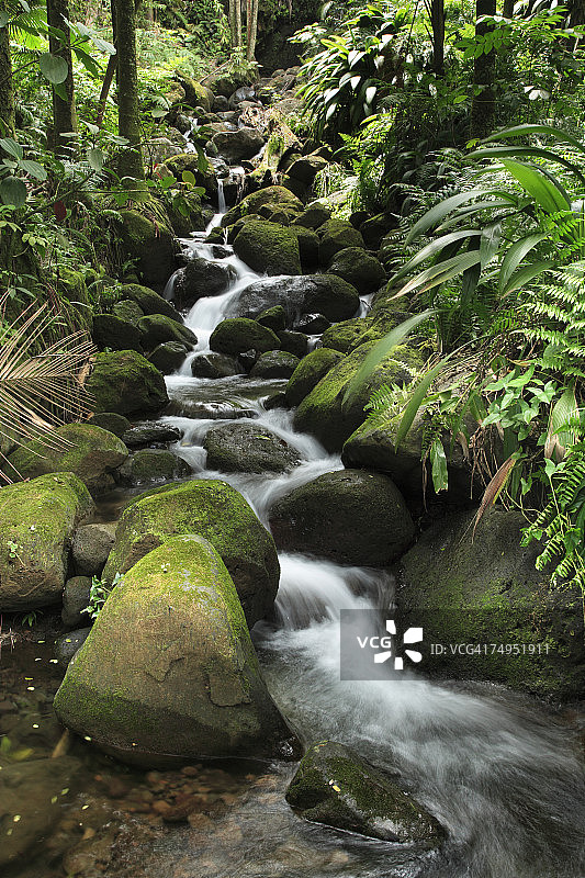 美国夏威夷大岛哈玛库亚海岸世界植物园瀑布图片素材