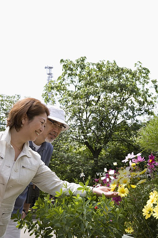老年夫妇观赏花朵图片素材