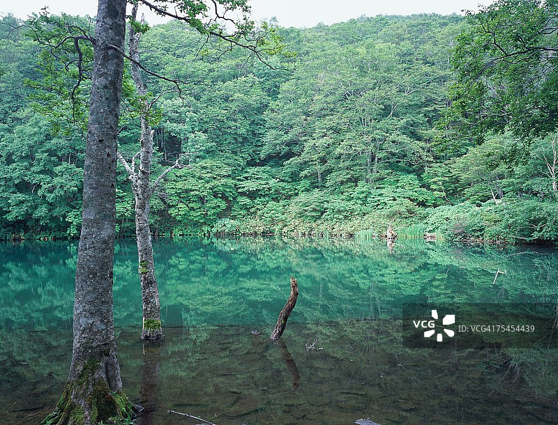 日本山形县藏王土偶沼图片素材
