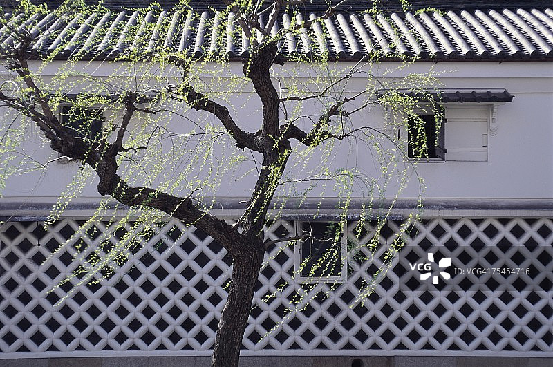 日本京都府东本愿寺图片素材