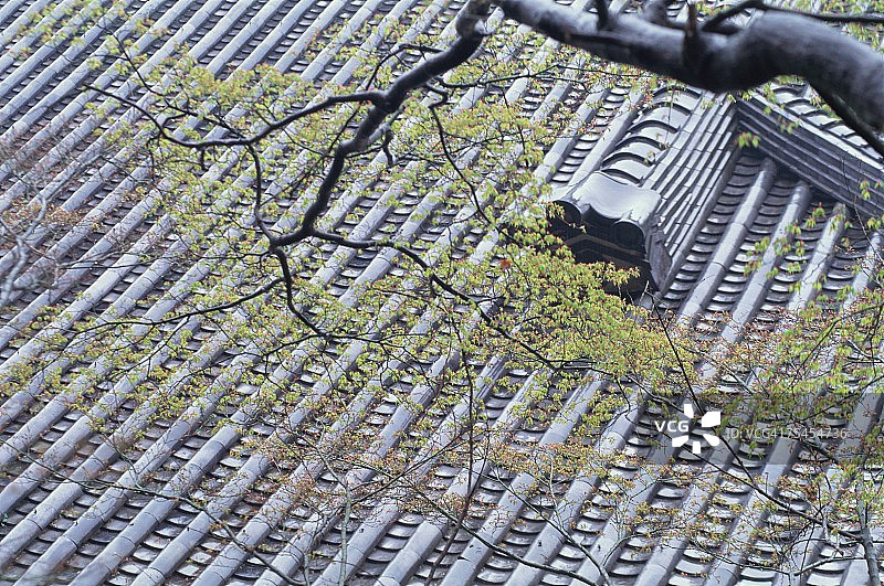 日本京都府永观堂禅寺的屋顶图片素材