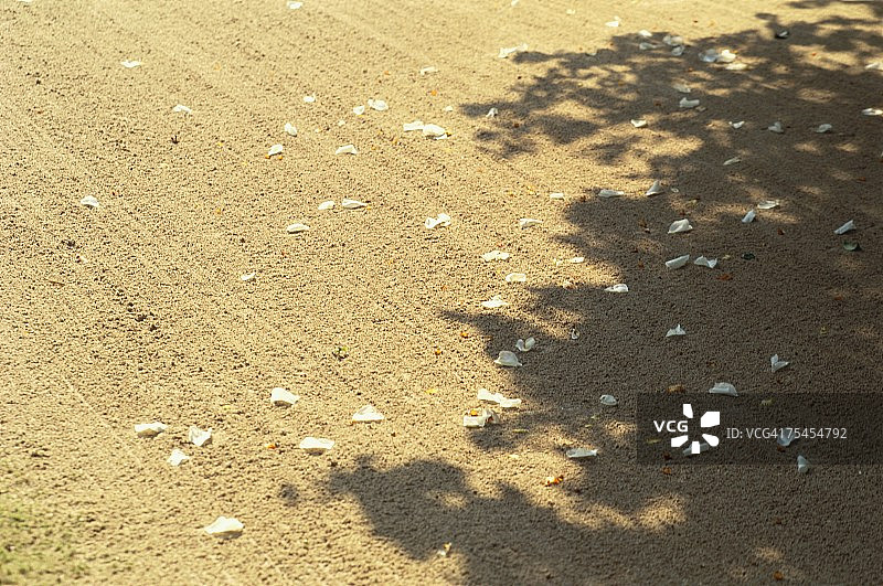 日本京都府诗仙堂寺图片素材