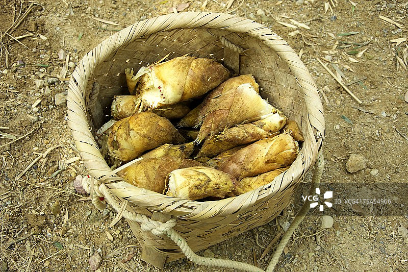 竹篮里的竹笋图片素材