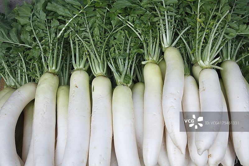 日本白萝卜特写图片素材