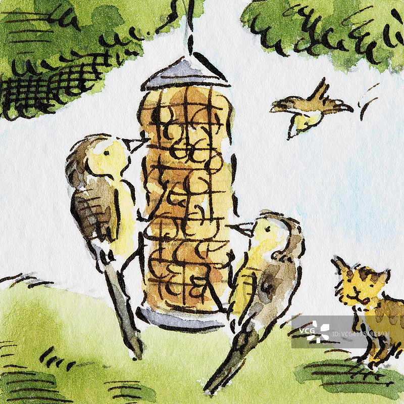 两只栖息的黄灰色小鸟啄食悬挂的喂鸟器，背景中有一只飞鸟和一只猫，侧视图，卡通图片素材