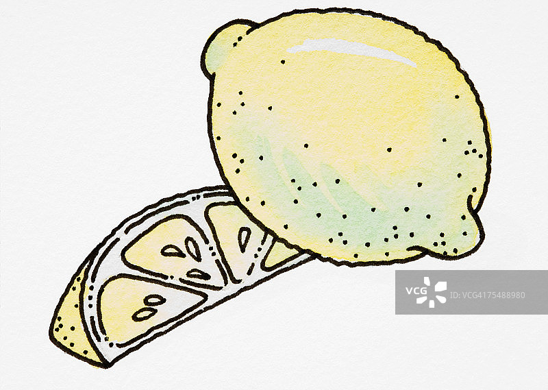 卡通完整柠檬和柠檬片图片素材