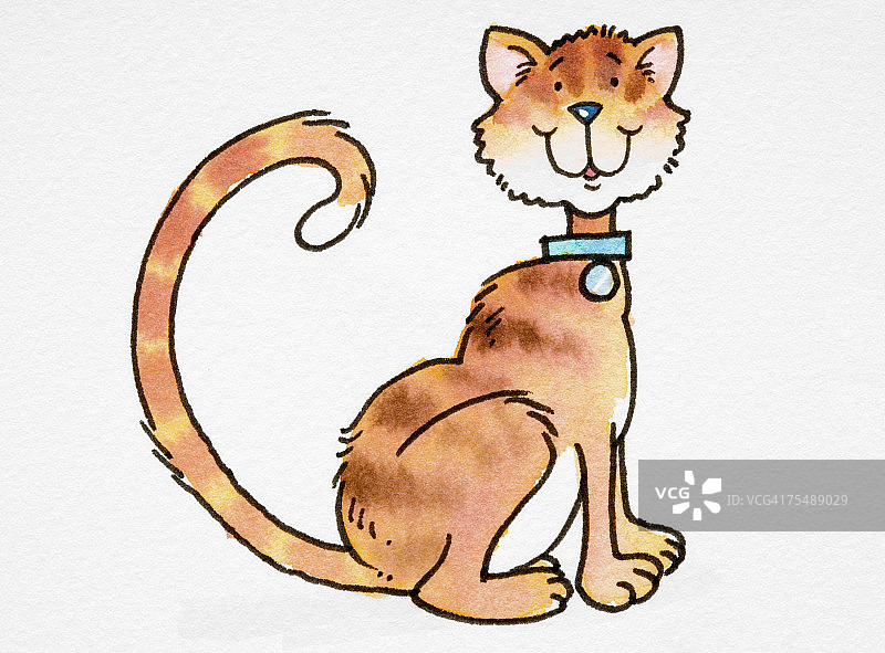 卡通微笑姜黄色猫（Felis sylvestris catus），戴着蓝色项圈，卷起尾巴坐着图片素材