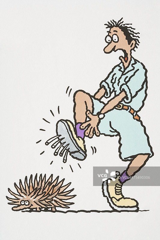 针鼹的刺穿透靴底，滑稽地描绘了痛苦跳跃的男性探险家图片素材