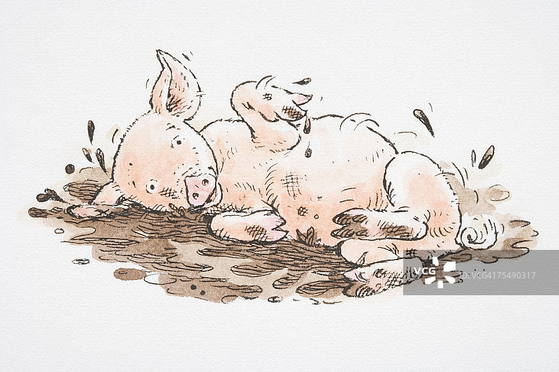 小猪在泥里打滚的滑稽场景图片素材