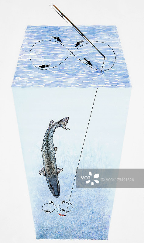 飞蝇钓鱼技巧，鳟鱼潜水用人造飞蝇作诱饵图片素材