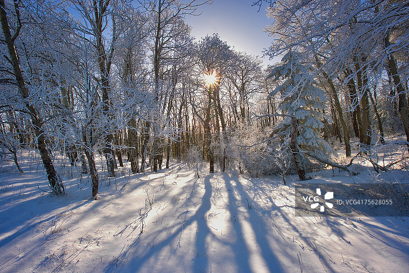 加拿萨斯喀彻温省柏树丘省立公园日出时分的雪景图片素材