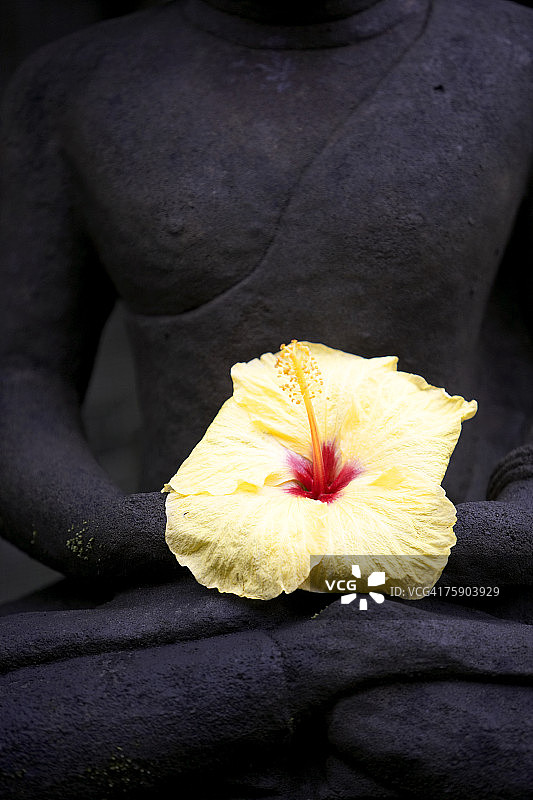 佛像上的鲜花摆设图片素材