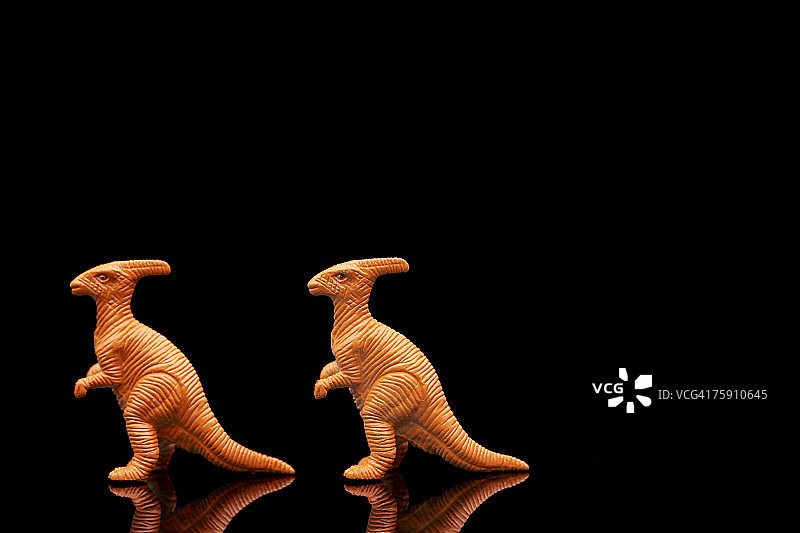 黑色背景上的两个塑料玩具恐龙图片素材