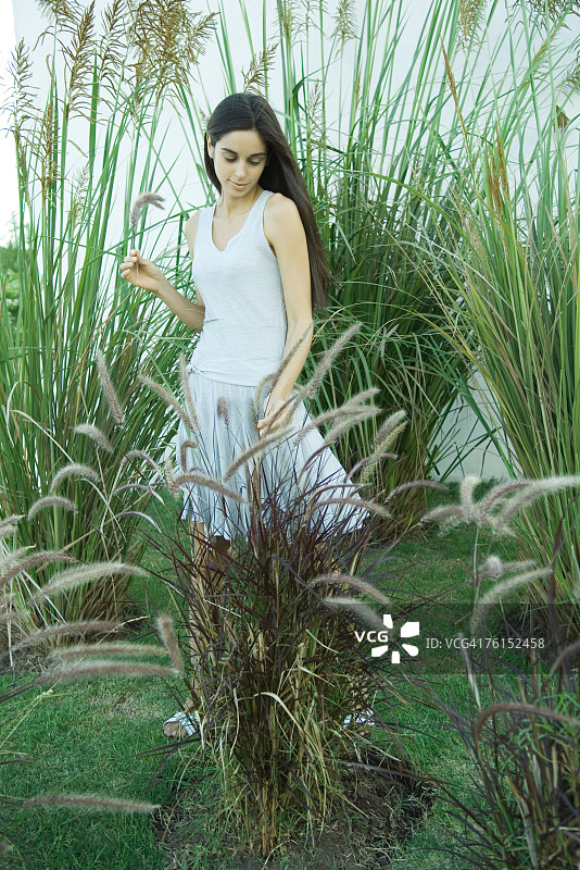 女人站在长长的草和芦苇中全身像图片素材