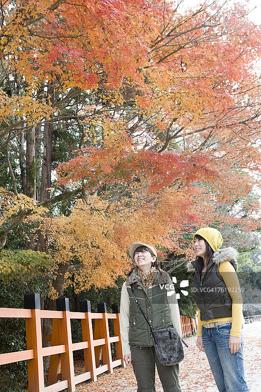 在日本京都府上贺茂神社观赏红叶的年轻女人图片素材
