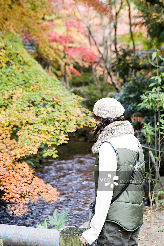 年轻女子在京都上贺茂神社观赏溪流风光，日本图片素材