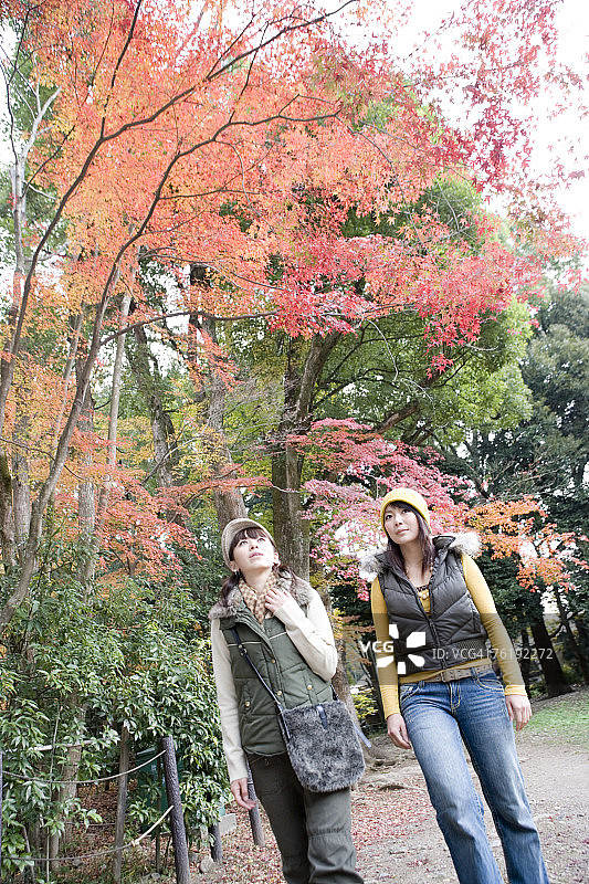 两位年轻女人在京都府上贺茂神社行走图片素材