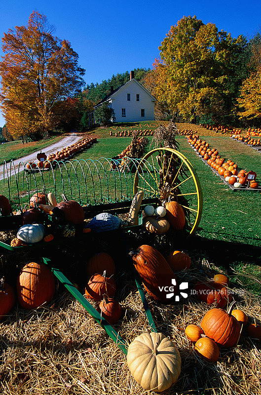 美国佛蒙特州波纳尔南瓜地商店，北美洲图片素材