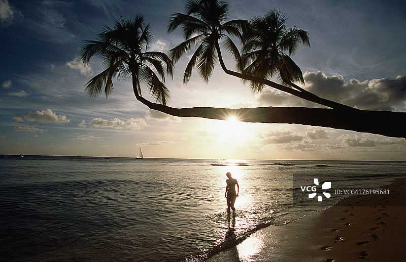 马林斯湾海龟滩的日落剪影图片素材