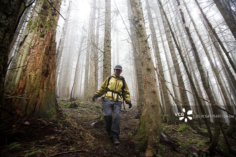 喀斯喀特山脉：西雅图郊外的徒步旅行图片素材