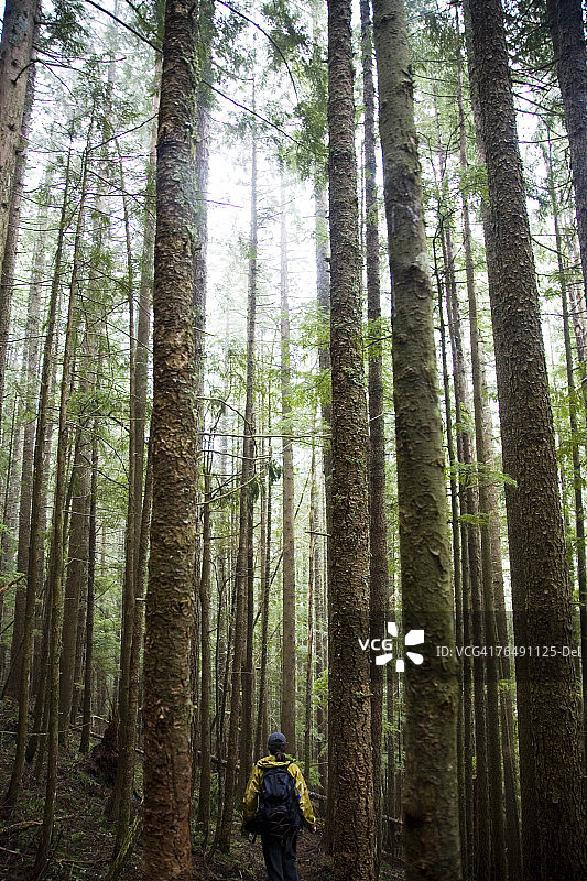 喀斯喀特山脉：西雅图郊外的徒步旅行图片素材