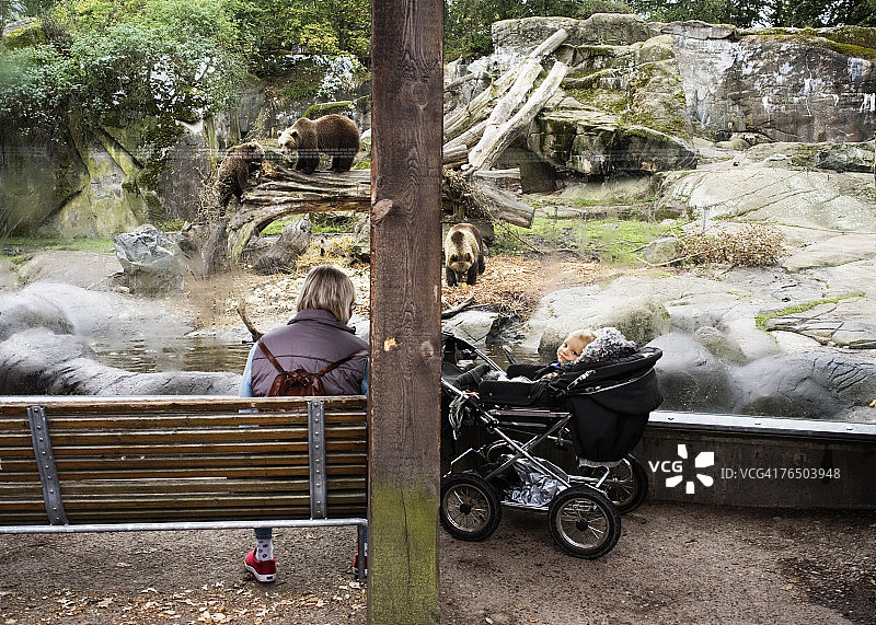 母亲和她的宝宝在斯德哥尔摩的斯堪森动物园看熊图片素材
