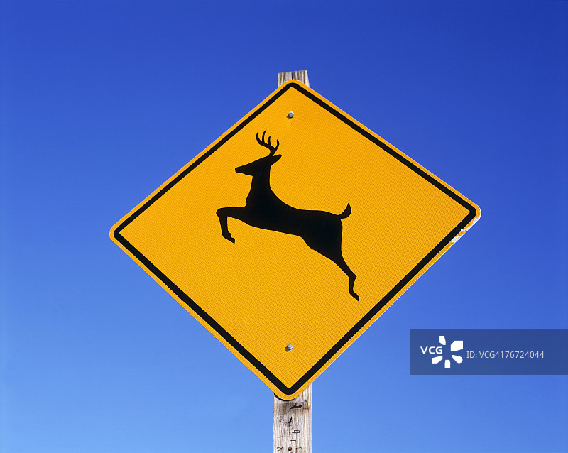 当心鹿出没标志图片素材