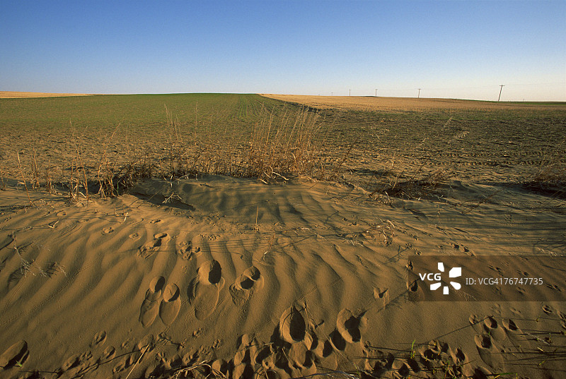 农田中的风蚀现象图片素材