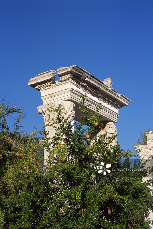 古代遗址和灌木图片素材