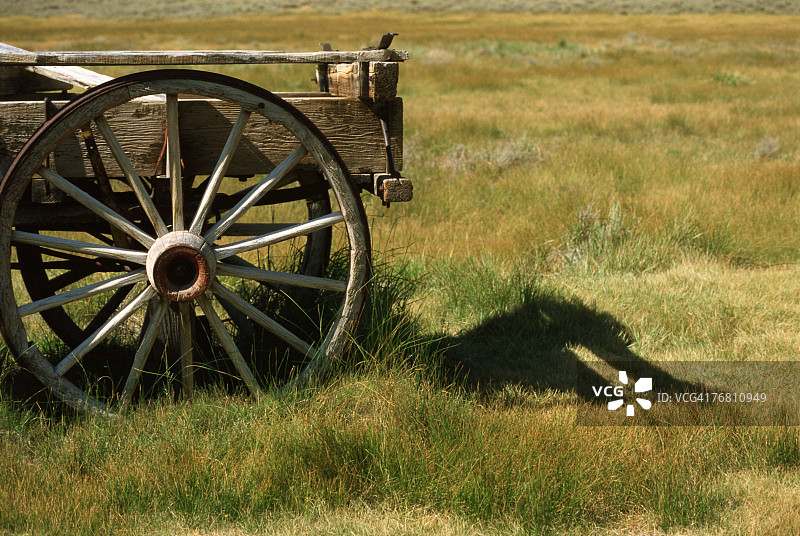 田野里的老式马车图片素材