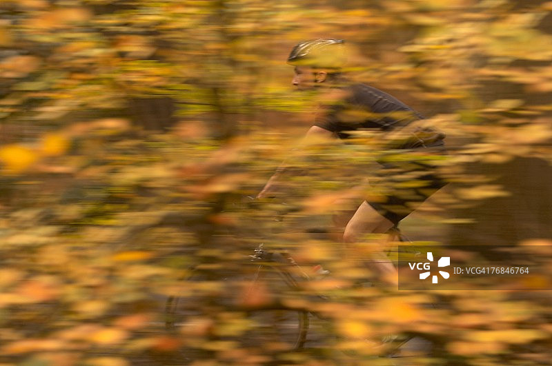 秋日树林中的骑行男人图片素材