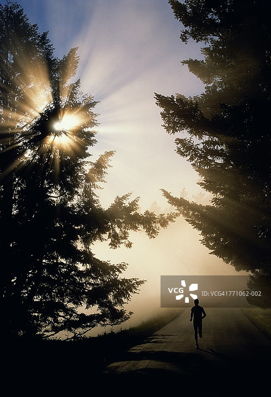 在清晨薄雾中，在绿树成荫的道路上奔跑的男人图片素材