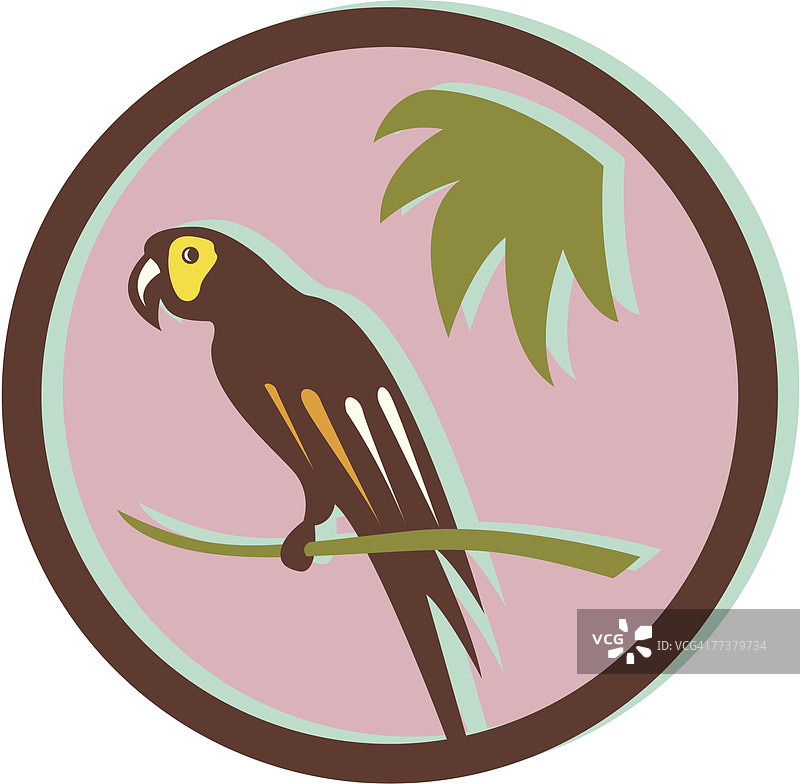 珍稀鸟类图片素材