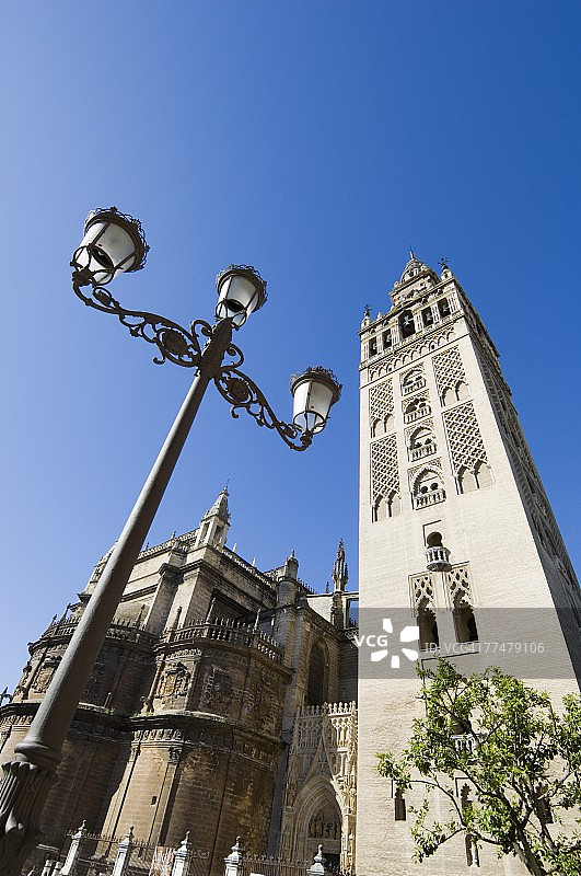 西班牙塞维利亚大教堂和希拉尔达塔，国王圣母广场图片素材