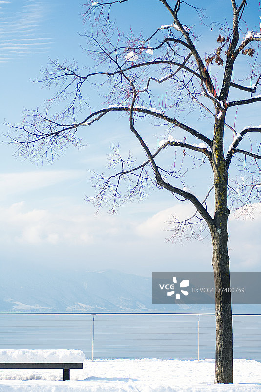 俯瞰瑞士湖泊的雪景长椅和树木图片素材