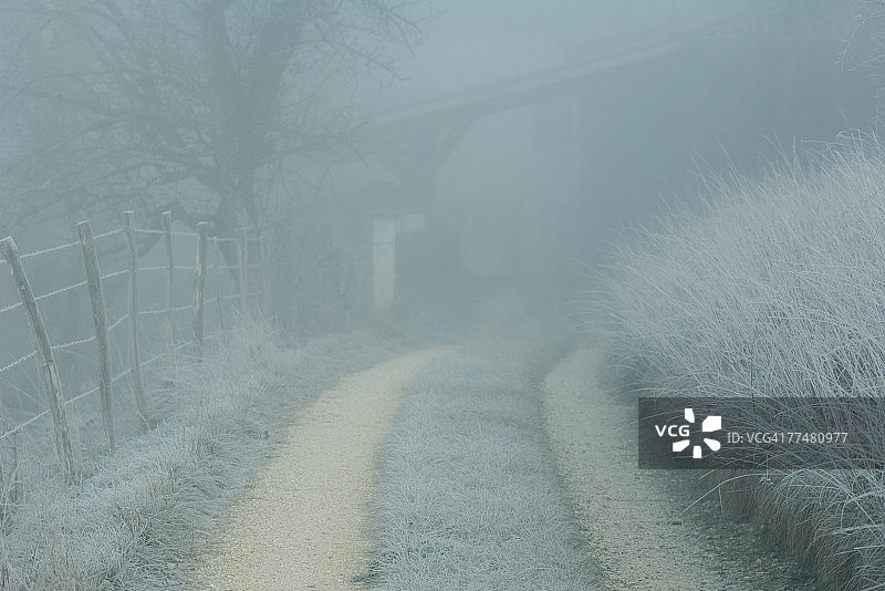 霜覆盖的风景与土路和栅栏图片素材