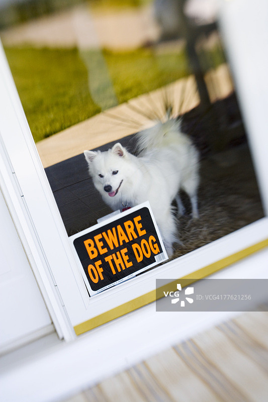 宠物狗站在带有“小心恶犬”标志的玻璃门后图片素材