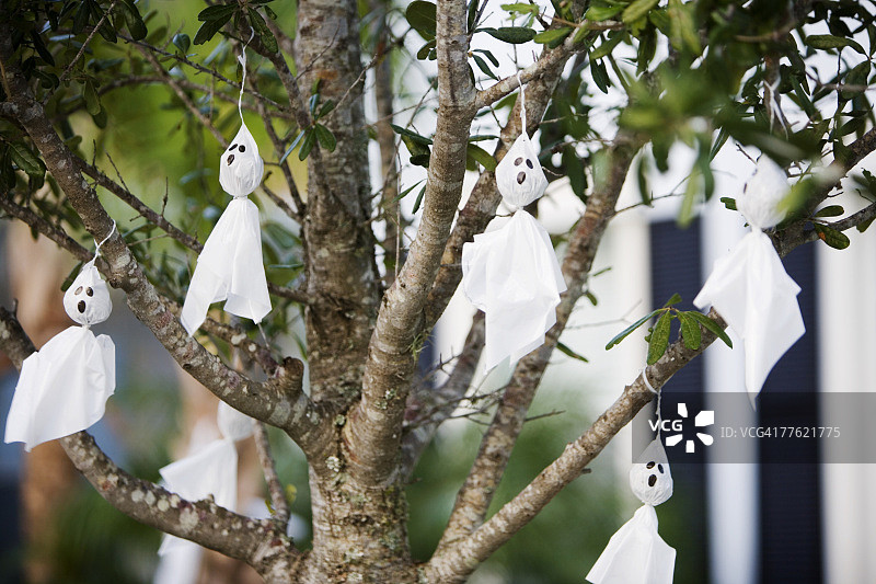 万圣节手工幽灵树挂件图片素材