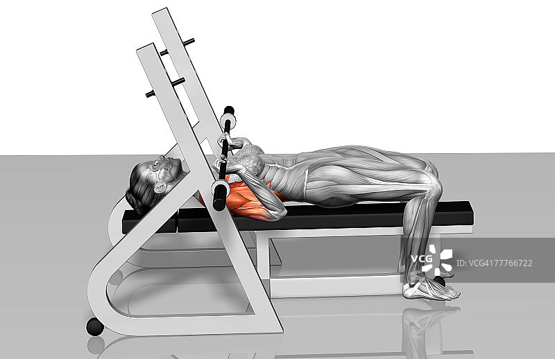 卧推（2之2）图片素材